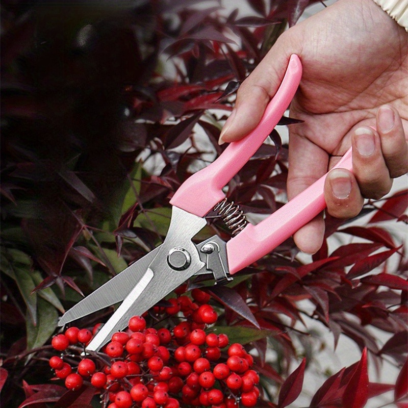 مقصات زهور (وردية) - عبوة من ق - مراجعة Pinking Shear Blade وسعره