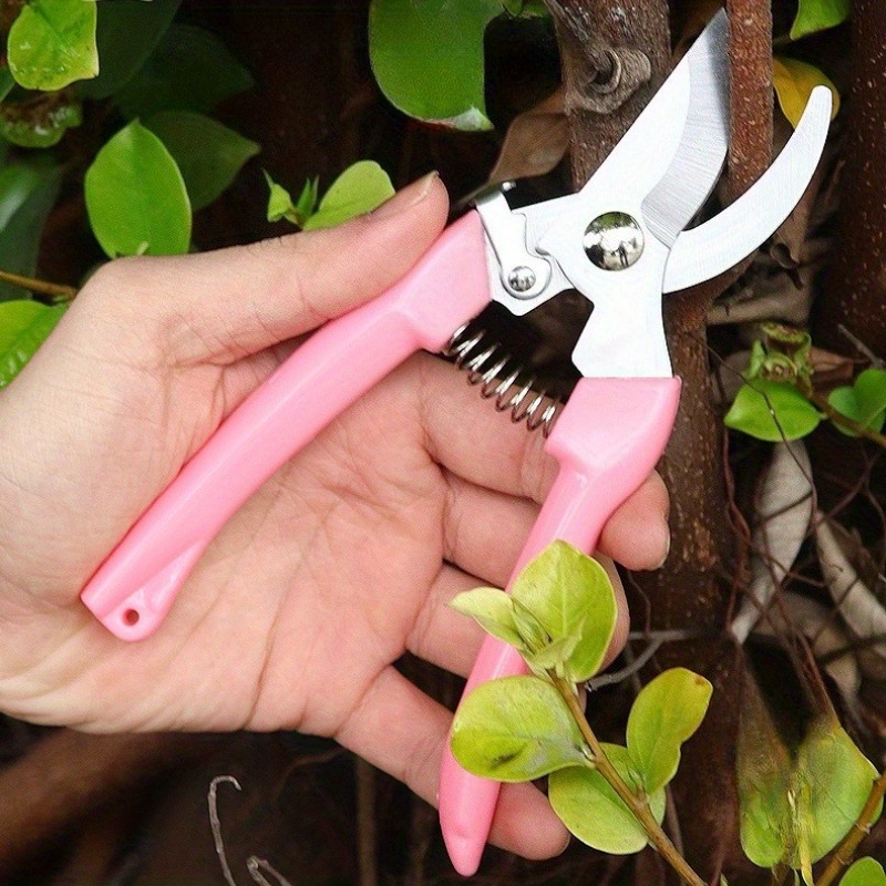 مقصات زهور (وردية) - عبوة من ق - مراجعة Pinking Shear Blade وسعره